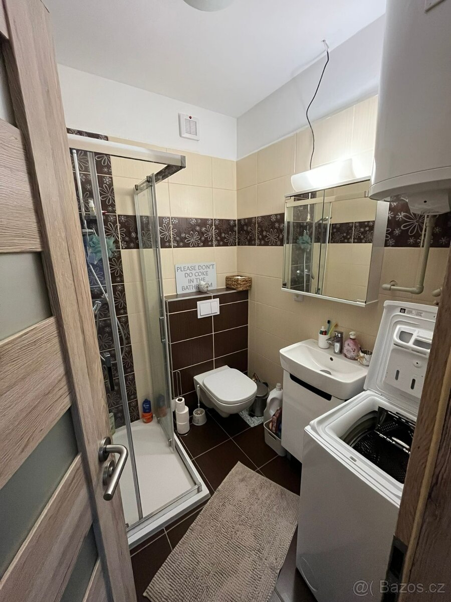 Pronajmu byt se zahradkou Libníč - 2