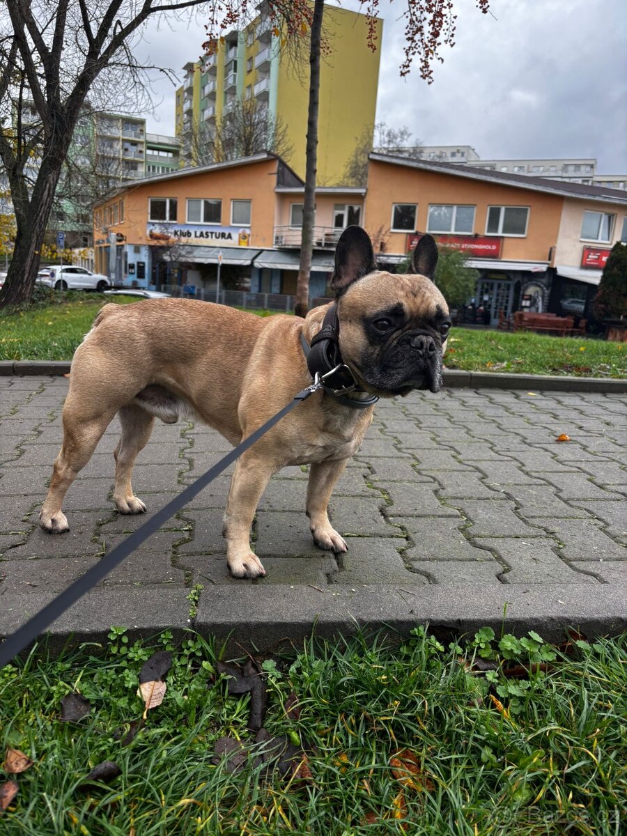 Nabízíme krytí - 2