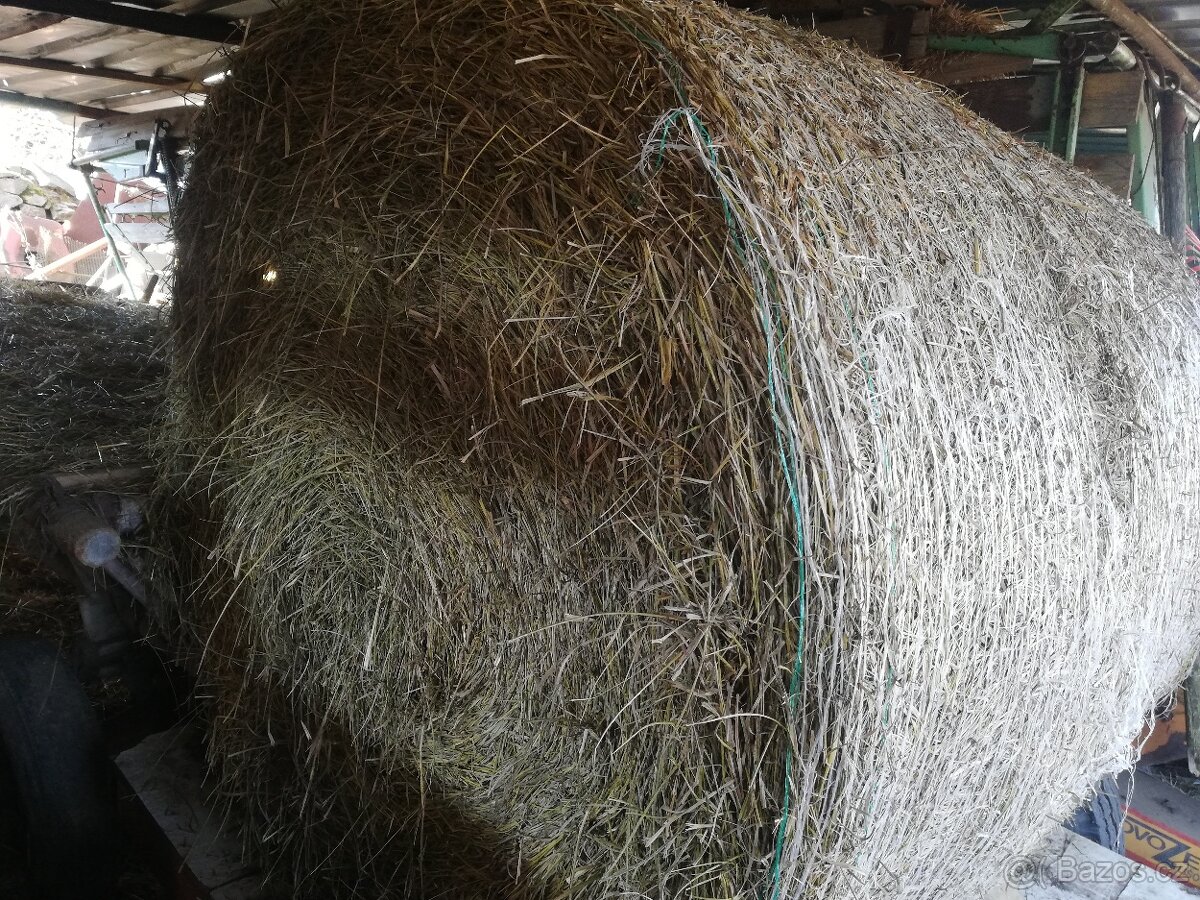 Kulatý balík sena - 2