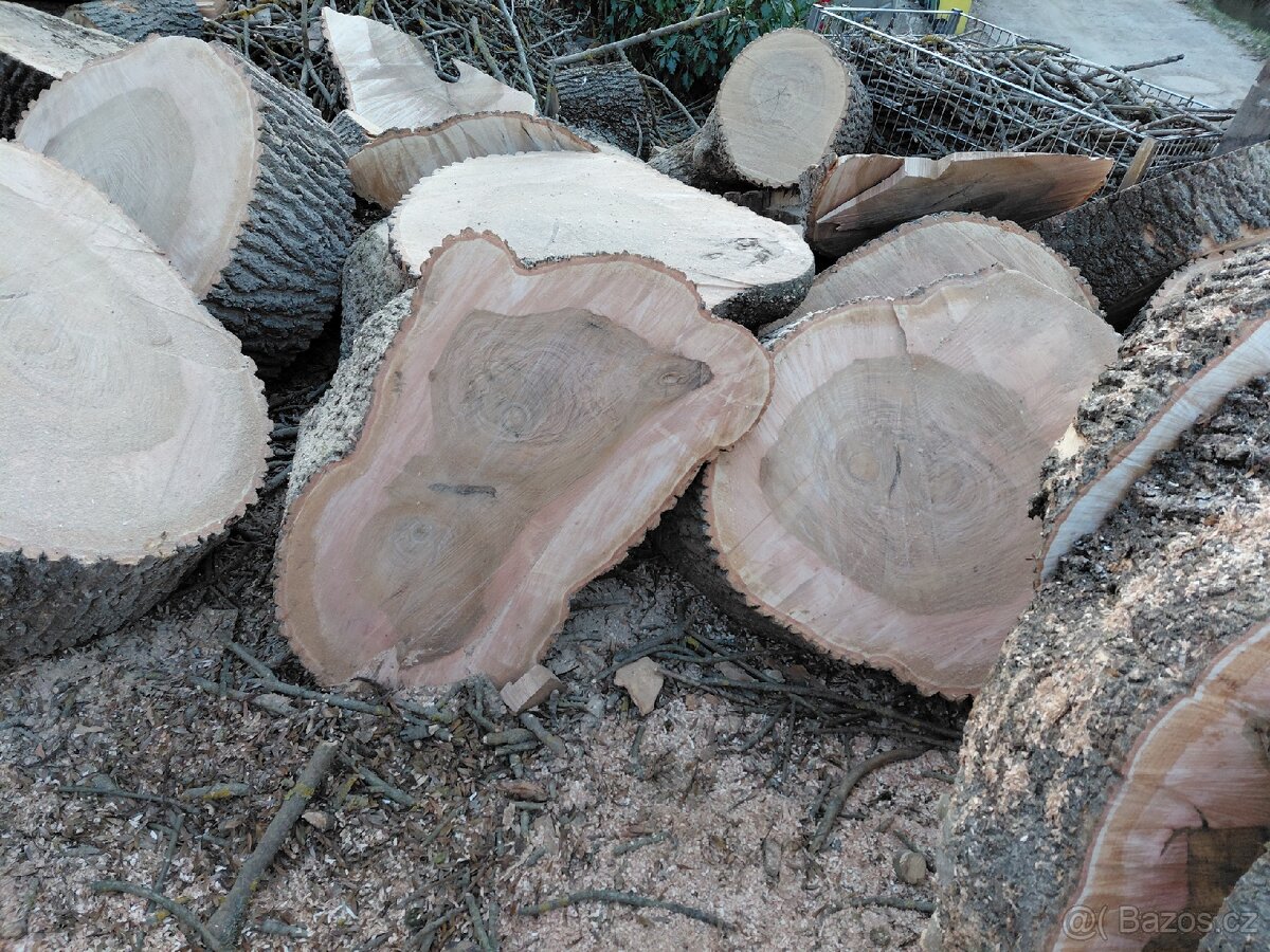 Dřevěné koláče - 2