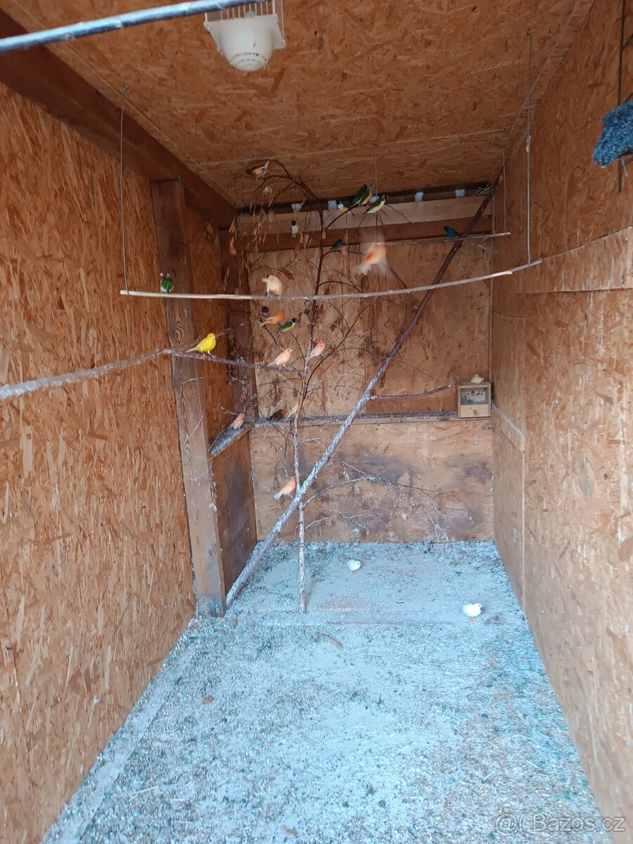 Prodej drobotina - 2