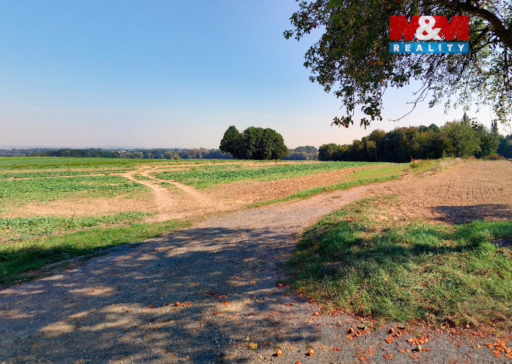 Prodej pole, 1134 m², Bartošovice - 2