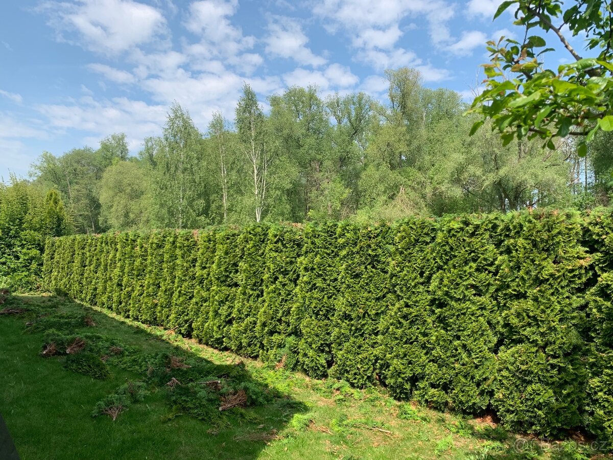 Údržba zeleně - 2