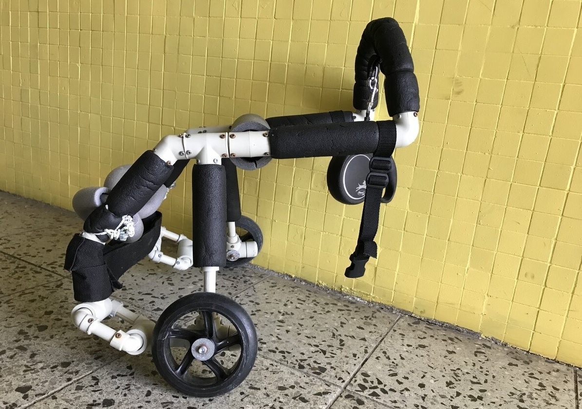Invalidni vozik pro psa (holku) - 2