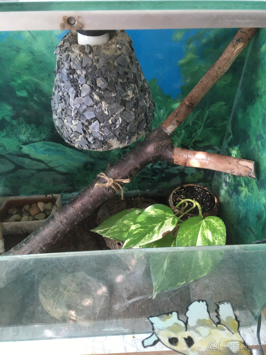Prodám terárium - 2