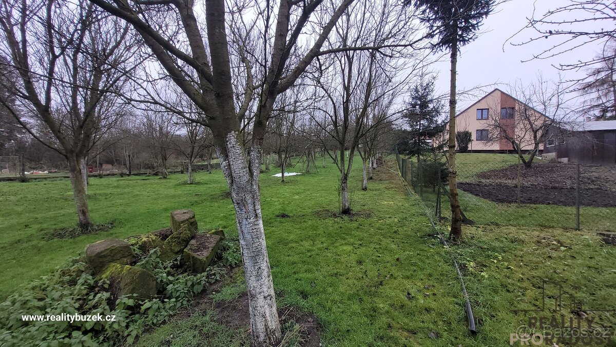 Prodej pozemku -Bolelouc - 2