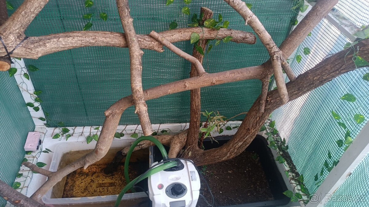 Voliéra s veškerým vybavením - 2