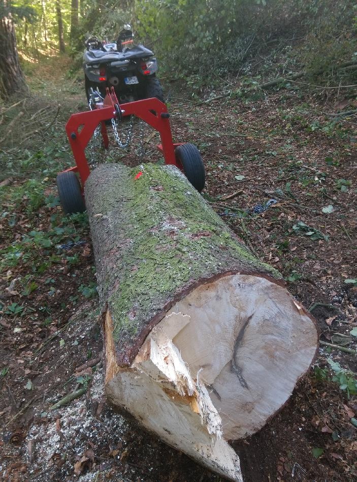 vozík na klády - 2