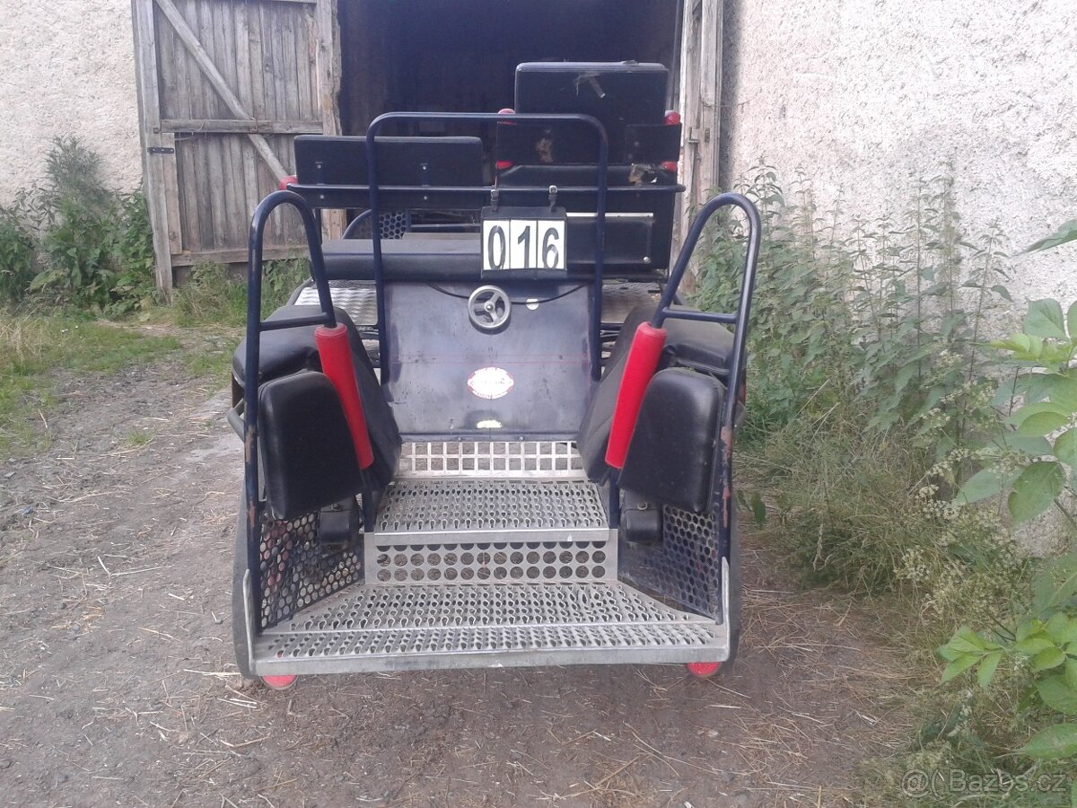 Maratoňák - koně, pár Kuhnle - 2