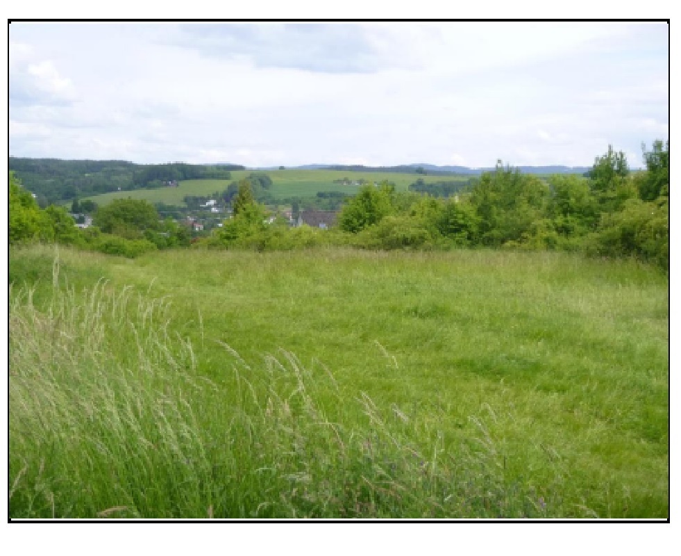 Pozemek v k.ú. Slušovice, okr. Zlín, ID 7985e 0402 - 2