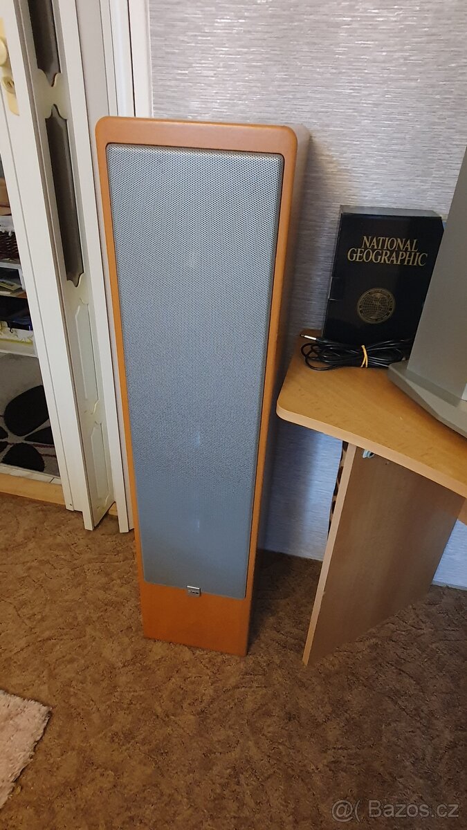 Canton ERGO RC-L + control unit - 2