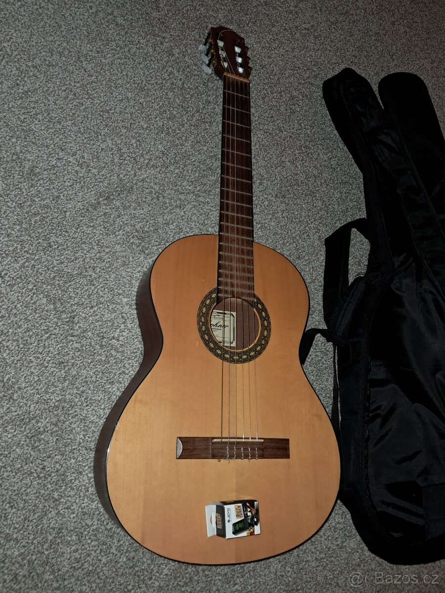 Kytara s pouzdrem - 2