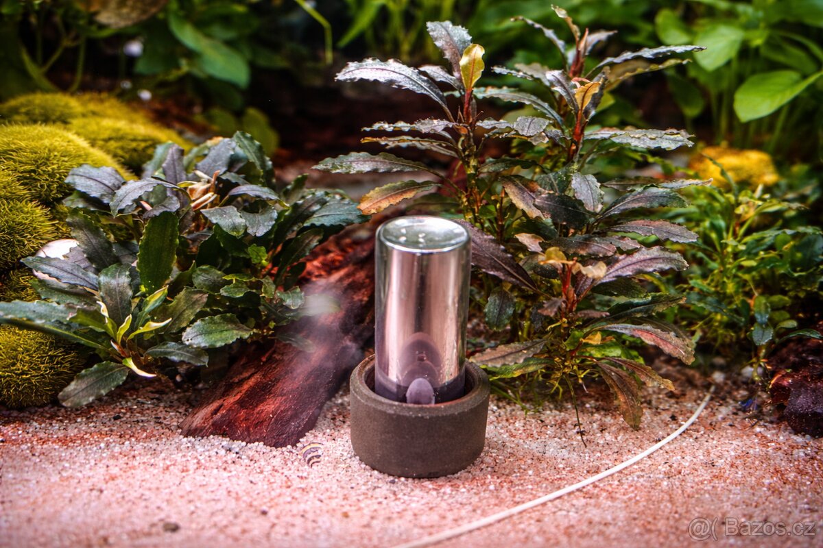 Bucelepandry - raritní druhy - 2