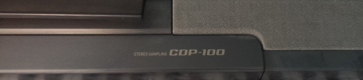 Casio CDP-100 - 2