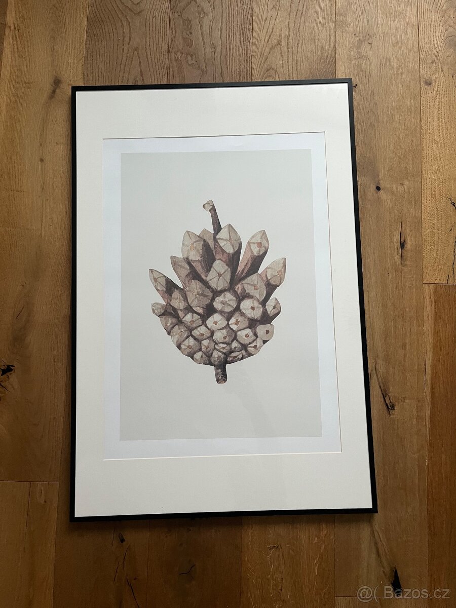 Rám Lomviken 50x70 s obrazem šišky - 2