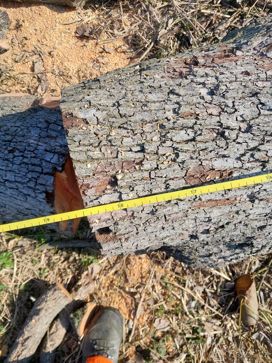 Hruška - kmen na pořez - 2