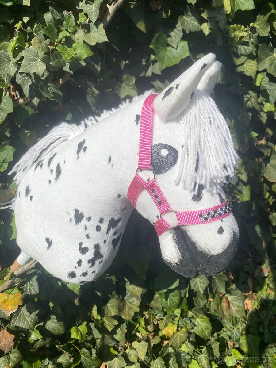 Hobby horse - 2