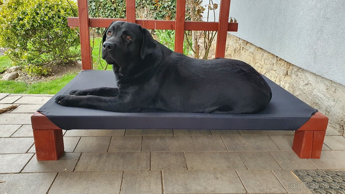 Labradorský retriever A MAGIC FRIEND OF FROTARIS - krytí - 2