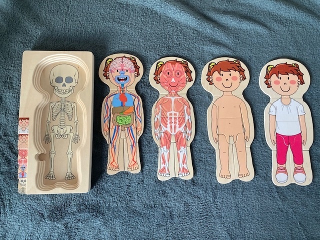 Skládačka/vkládačka lidské tělo puzzle dřevěné holka a kluk - 2