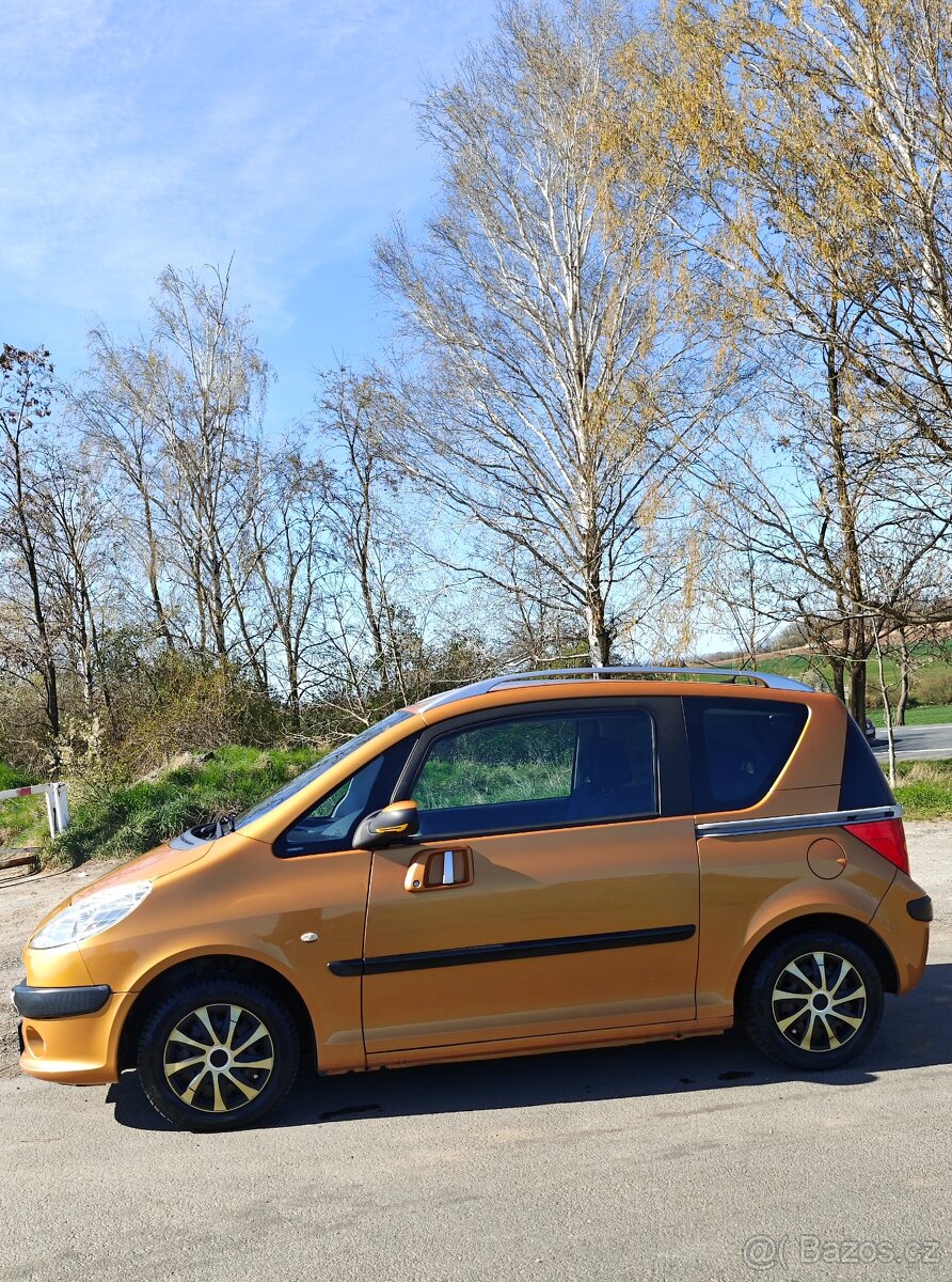 Peugeot 1007 - 2