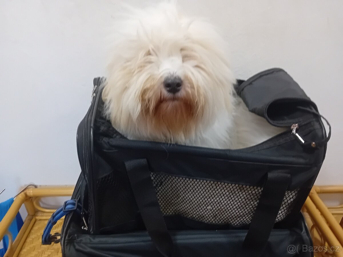 Taška pro přenos psa - 2