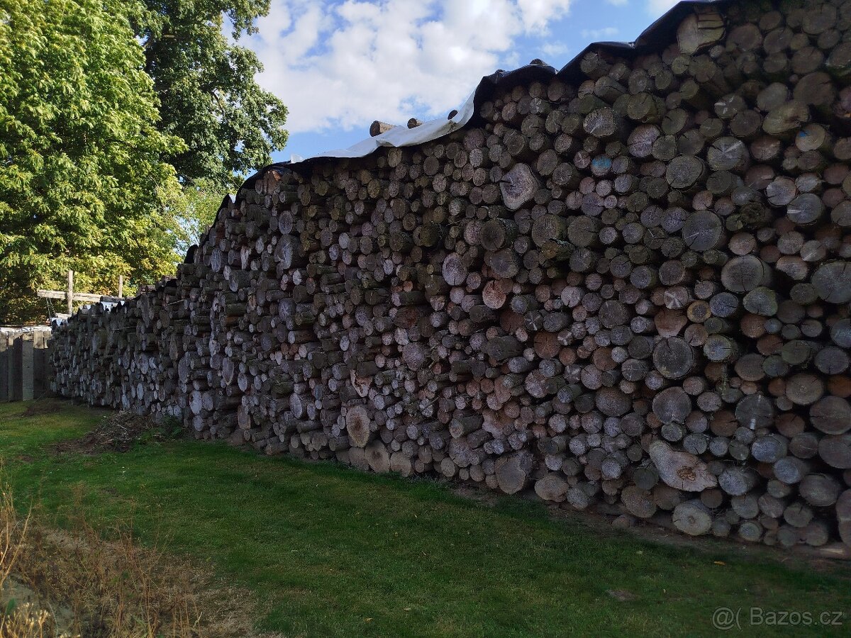 Palivové dřevo - 2