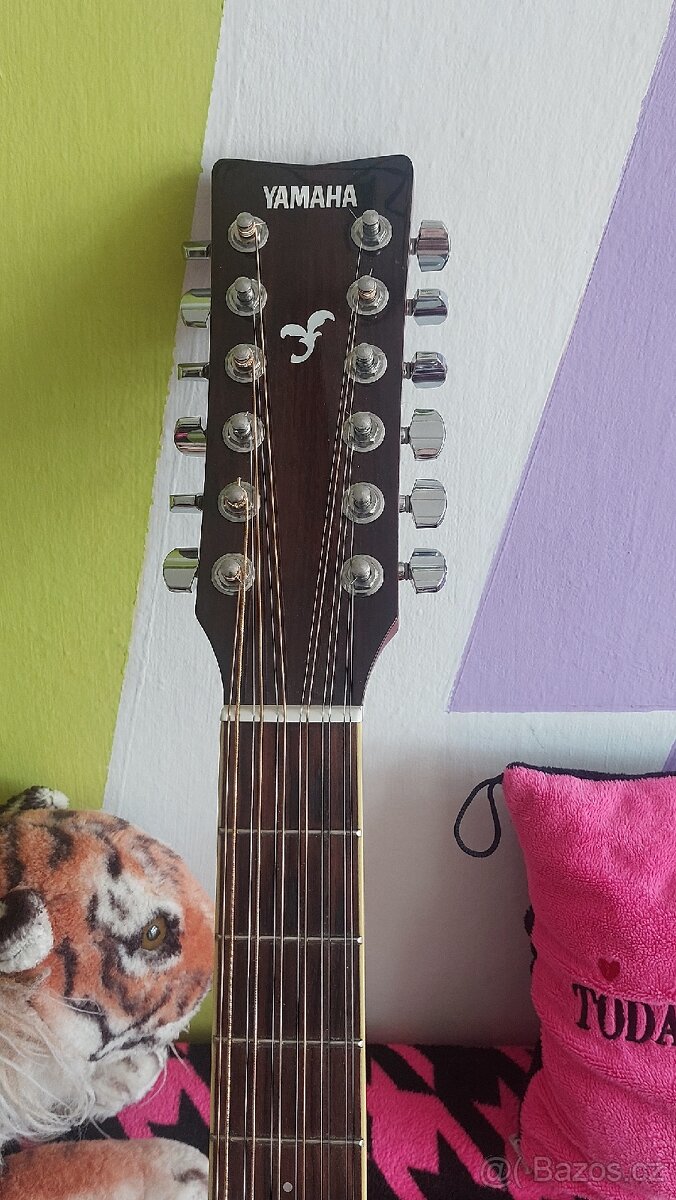 Dvanácti strunná kytara - 2