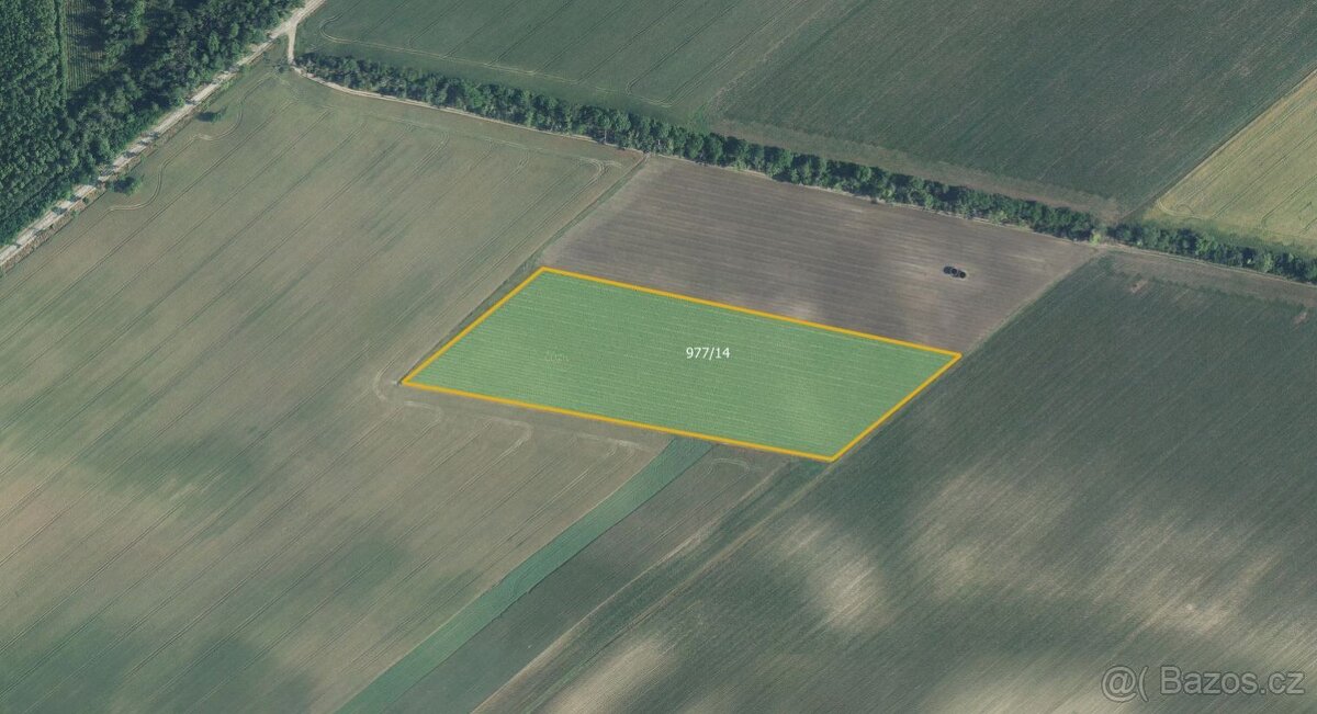 Sady, vinice, prodej, Bulhary, Břeclav - 2