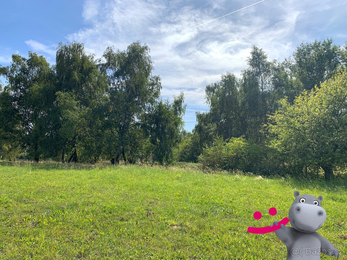 Prodej louky 5 517 m², Podkopná Lhota, ev.č. 58670 - 2