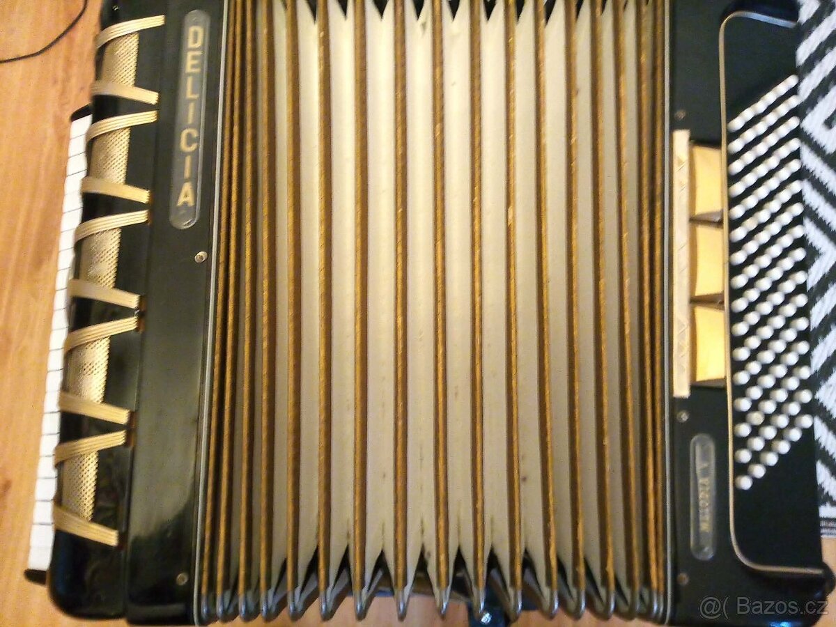 Harmonika Akordeon Delicia Melodia V - 2
