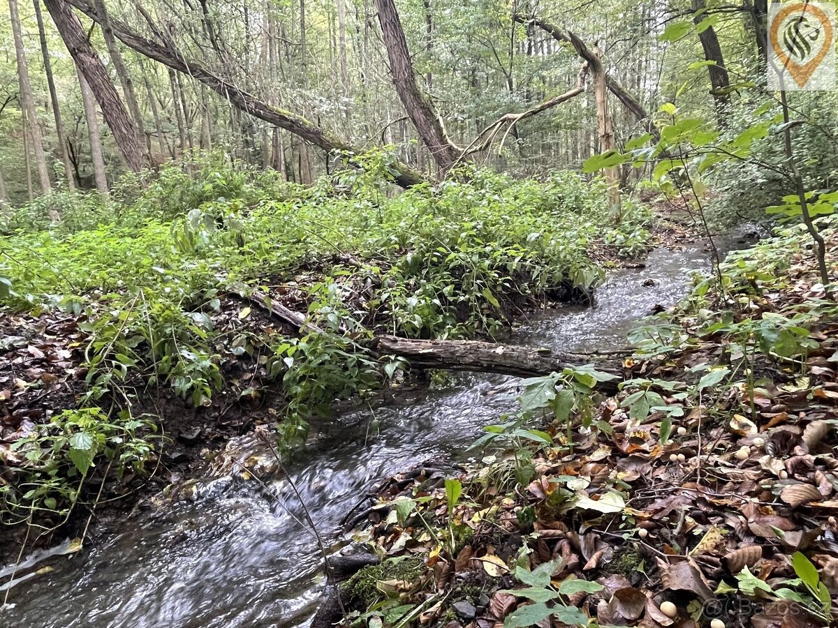 Prodej lesa o výměře 8 326m2 - 2