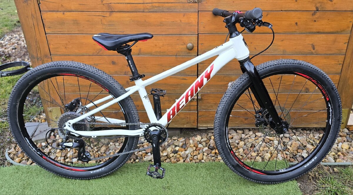 BEANY Blaster XC 24 - 2