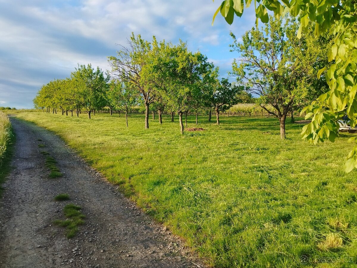 Orná půda - 2
