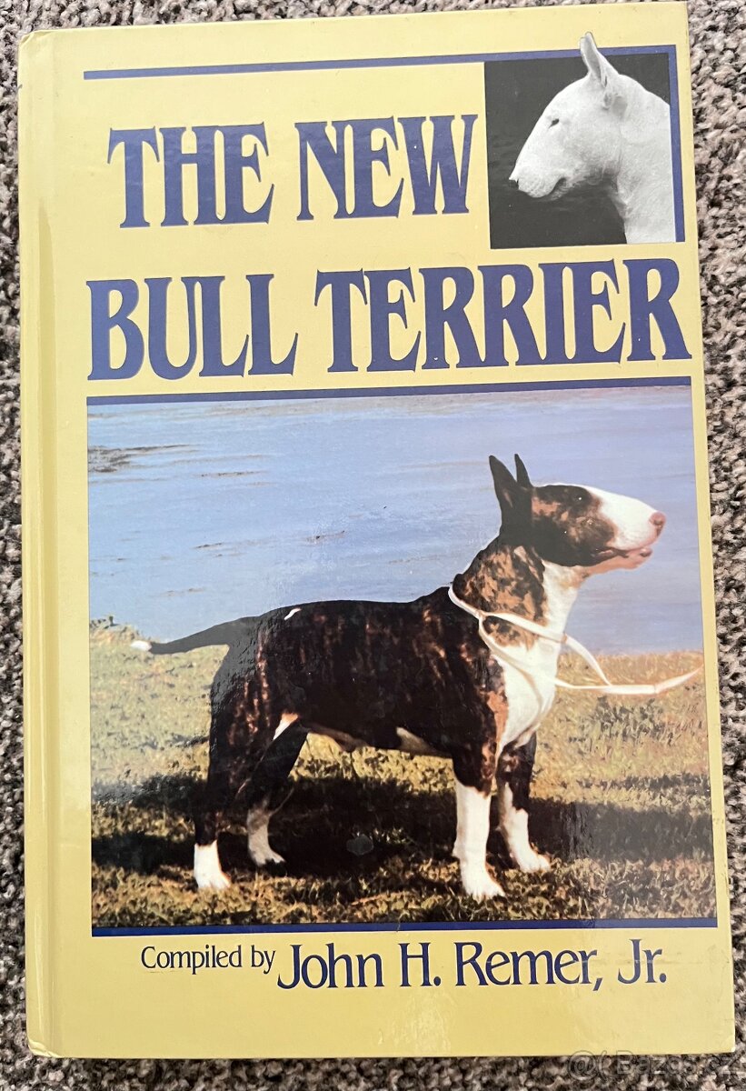 Bullterrier, Bull Terrier - 2