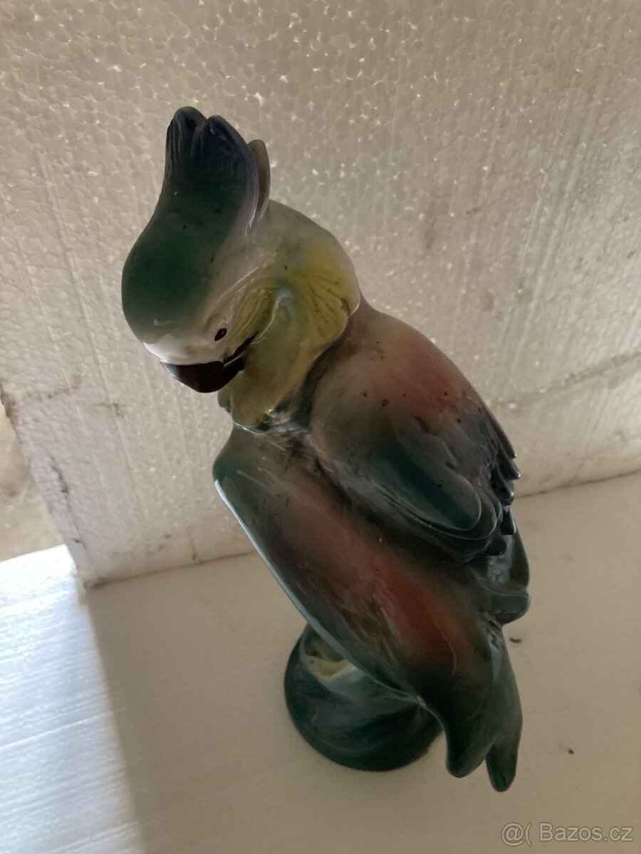 Prodám sošku papouška - 2