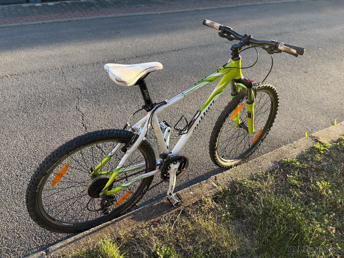 Author basic ASL "18" - 2