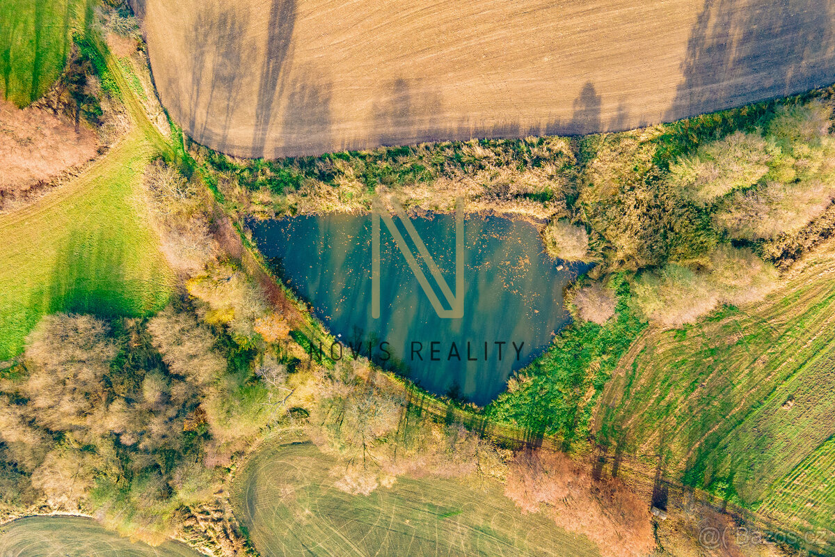 Prodej, rybník, 2 713 m², Týnec, okres Klatovy - 2