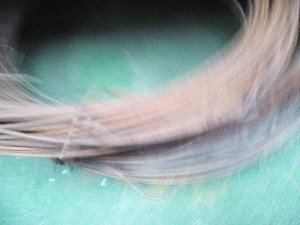 ocelový drát, rám s mříží, krytina Eur - 2