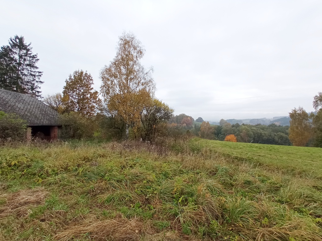 Prodej podílu 12/14 usedlosti s pozemkem - Pilníkov - 2