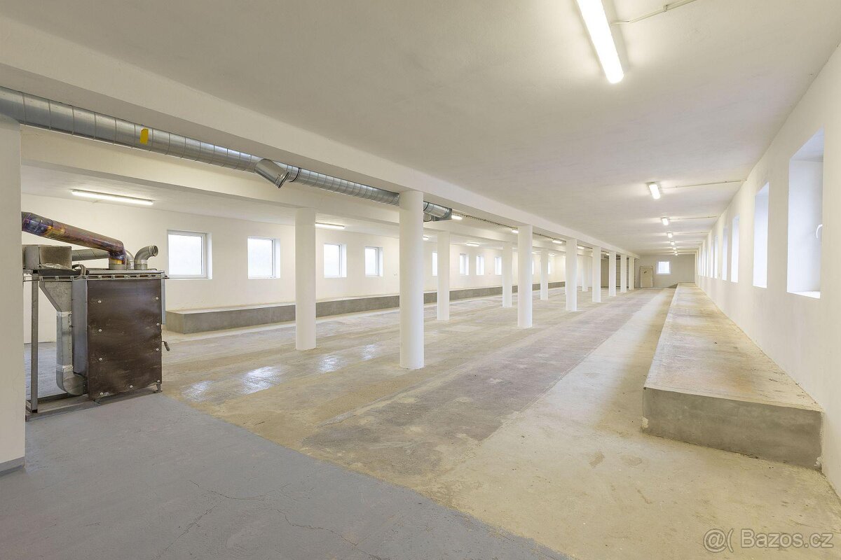 Pronájem komerčních prostor Zámrsk - 2