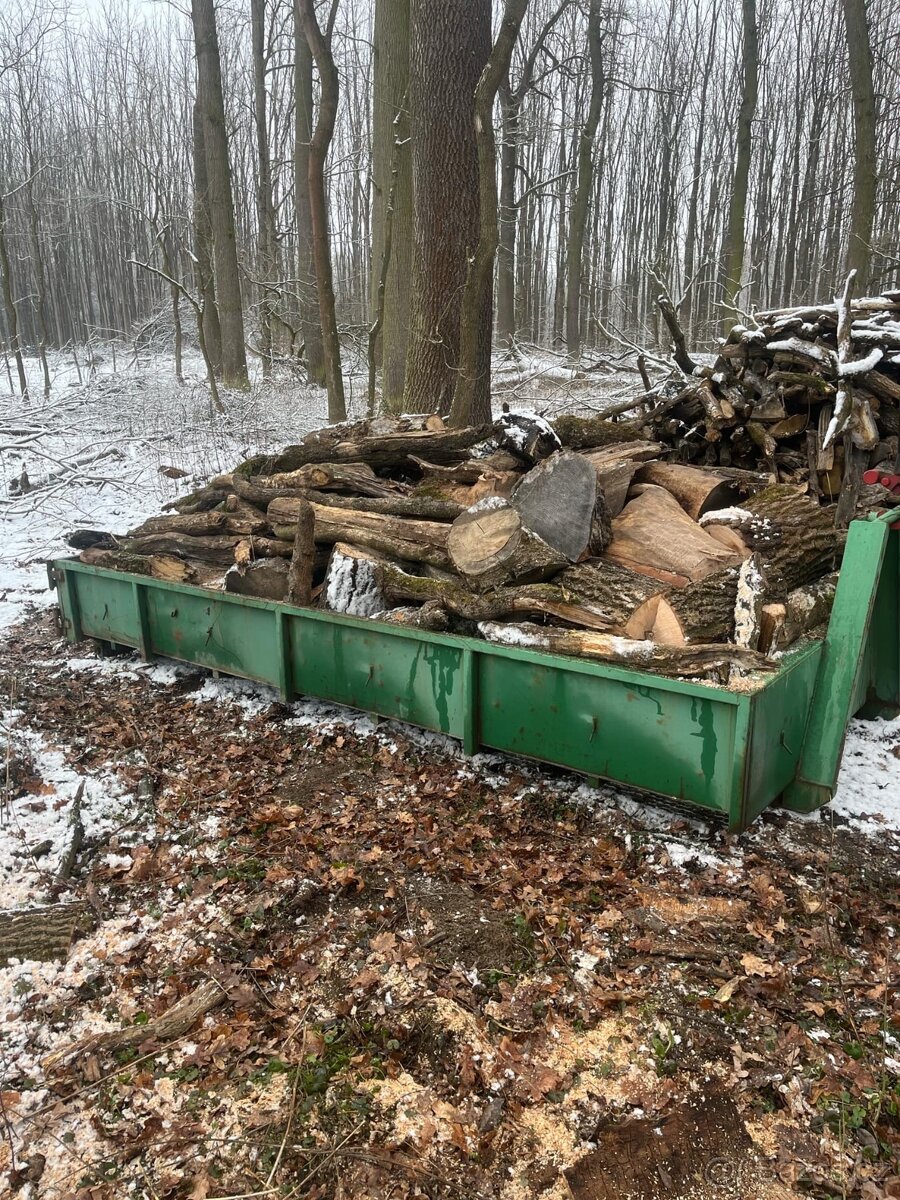 Palivové dřevo - 2