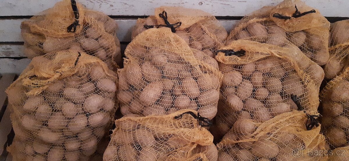 Konzumní brambory - 2