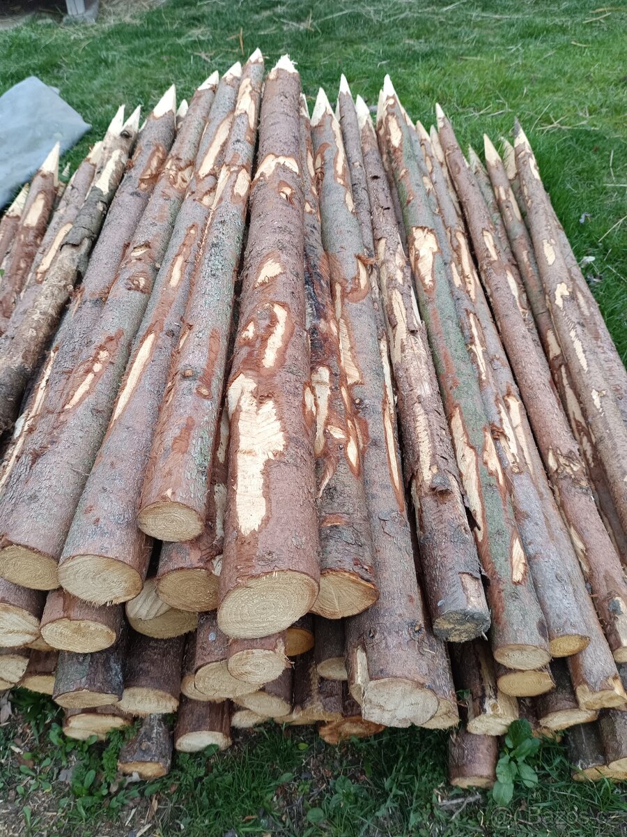 Dřevěné kůly - 2