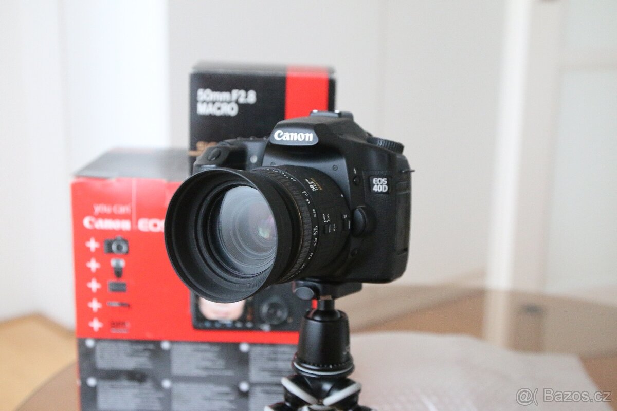 Canon EOS 40D + Sigma 50mm - 2