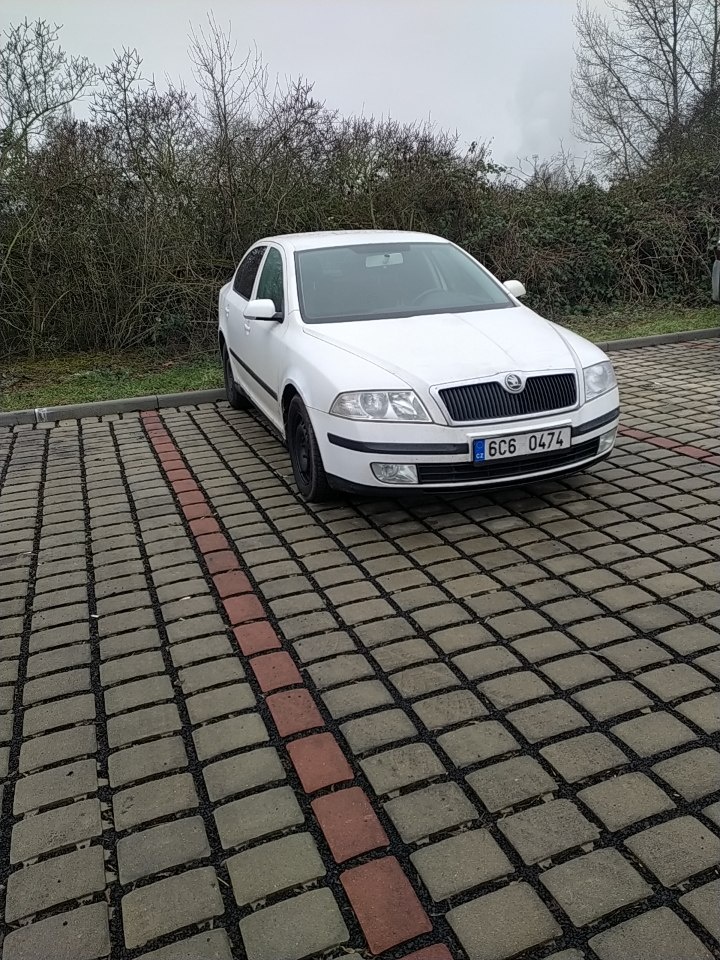 Škoda Octavia 2 1.9 Tdi 77kw - 2