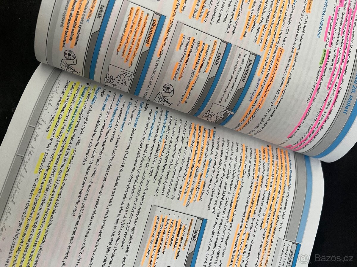 literatura v kostce - 2