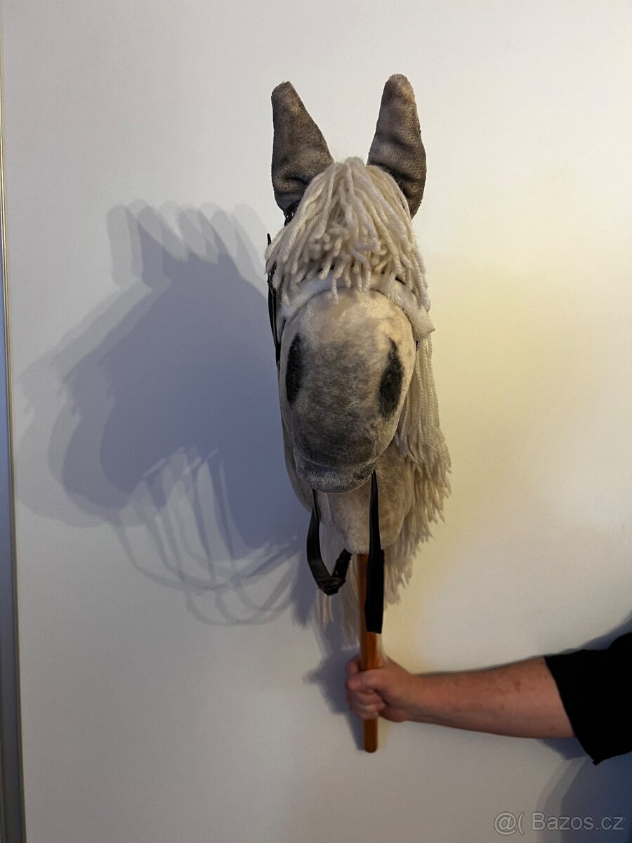 Hobby horse - 2