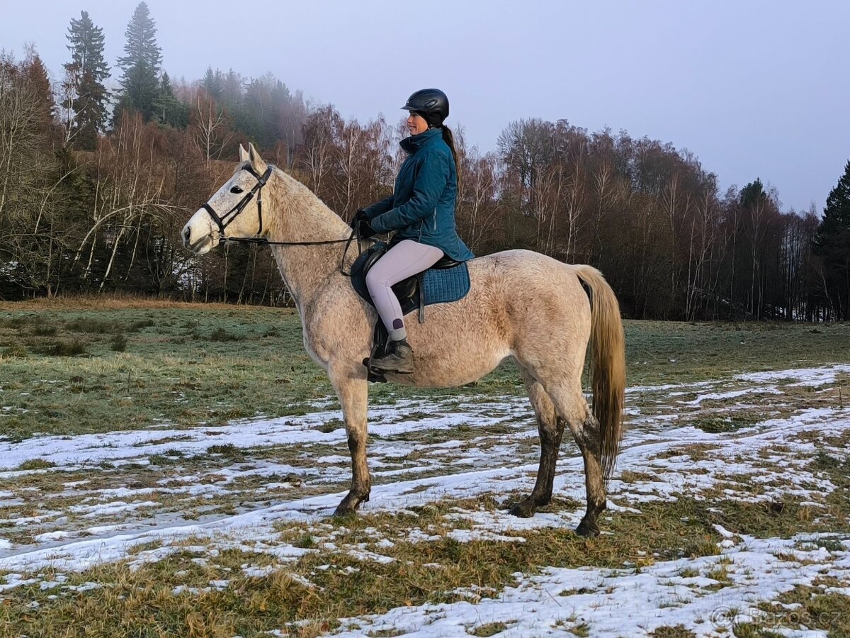 Hodná čtrnáctiletá klisna ČT po Majáles (A1/1) - 2