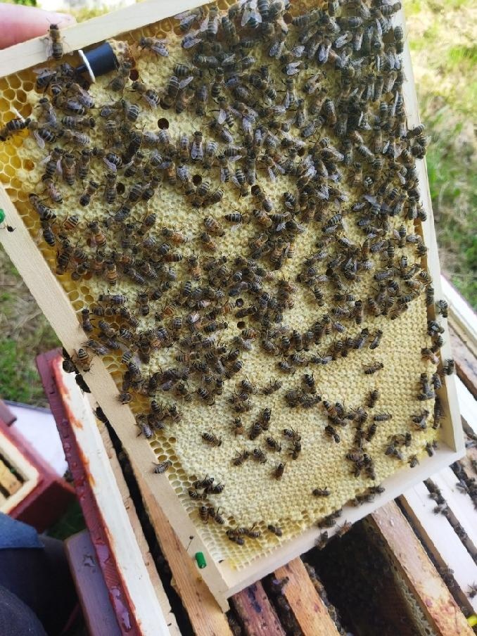 Vyzimované oddělky - 2