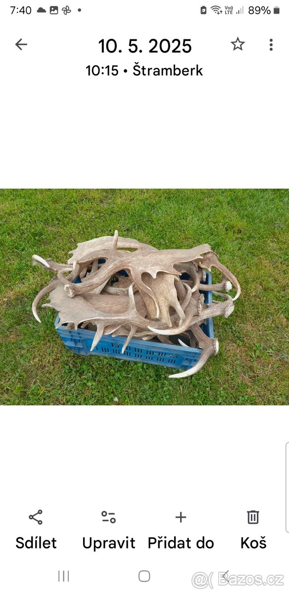 Prodam danci parozi - 2